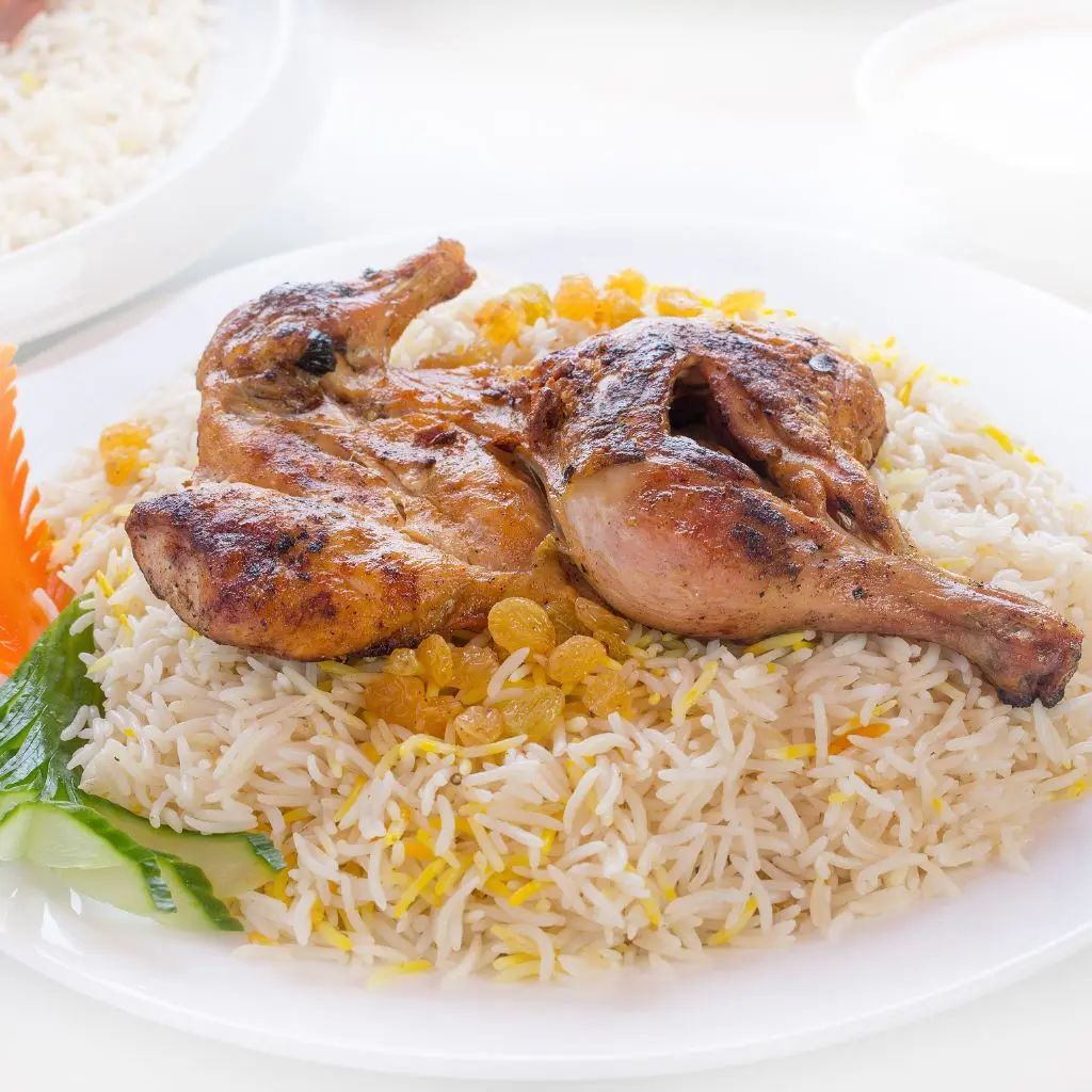 دجاج مظبي